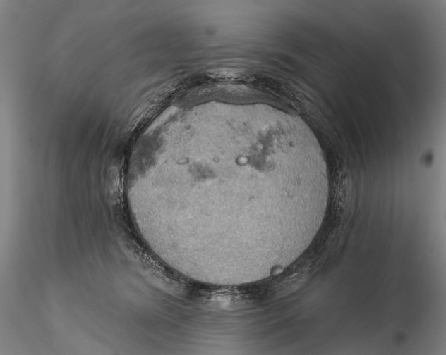 X0000115590420200912011508