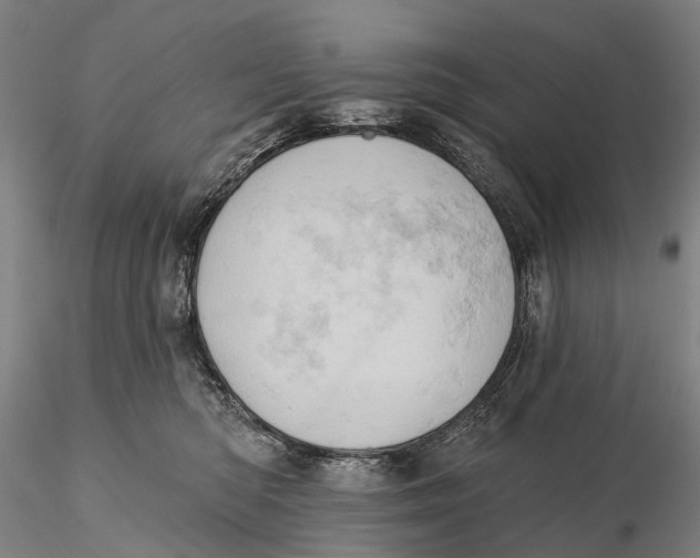 X0000115590422200912011508