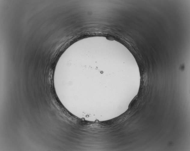 X0000115590423200912011508