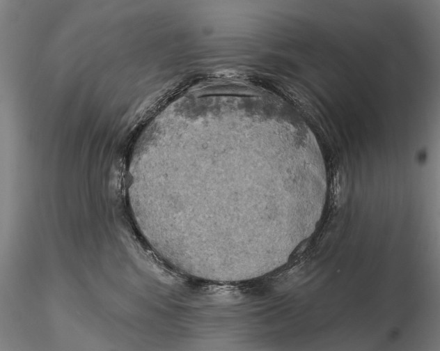 X0000115590424200912011508