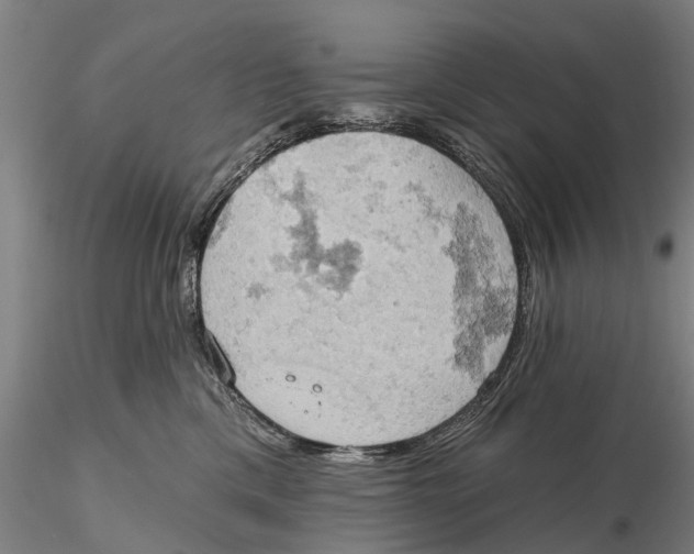 X0000115590425200912011508