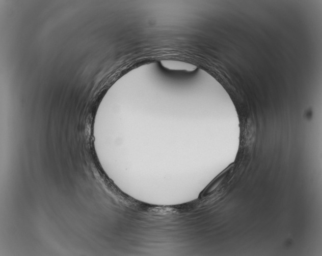 X0000115590427200912011508