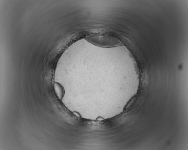 X0000115590428200912011508
