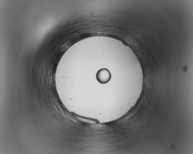 X0000115590429200912011508