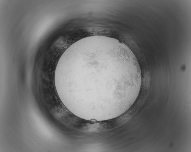 X0000115590430200912011508