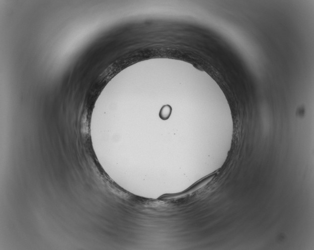 X0000115590431200912011507