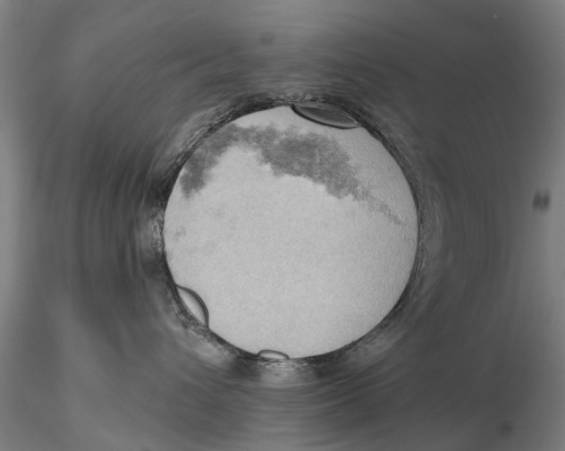X0000115590432200912011507
