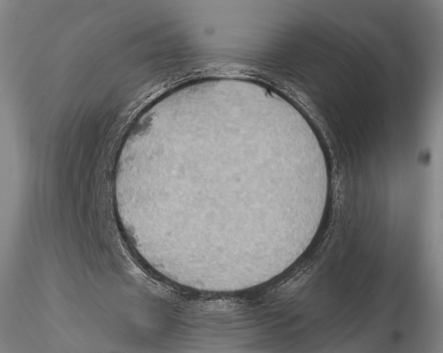 X0000115590433200912011507