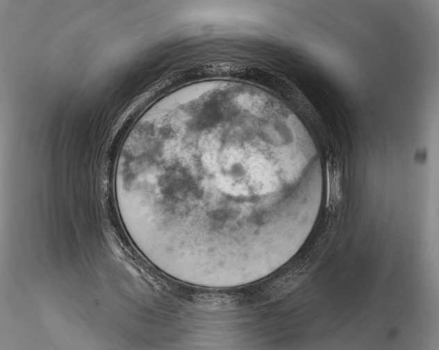 X0000115590435200912011507