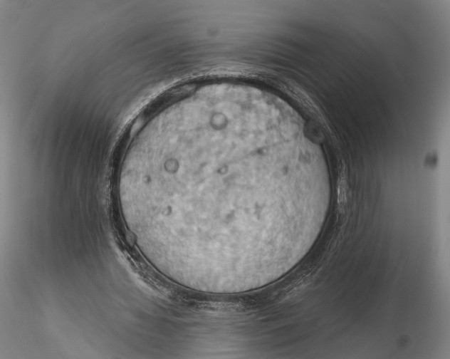 X0000115590436200912011507