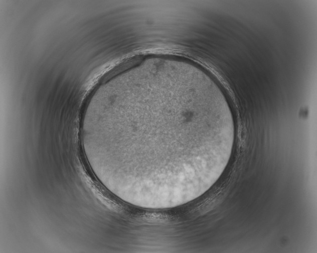 X0000115590437200912011507