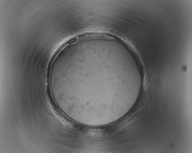 X0000115590438200912011507