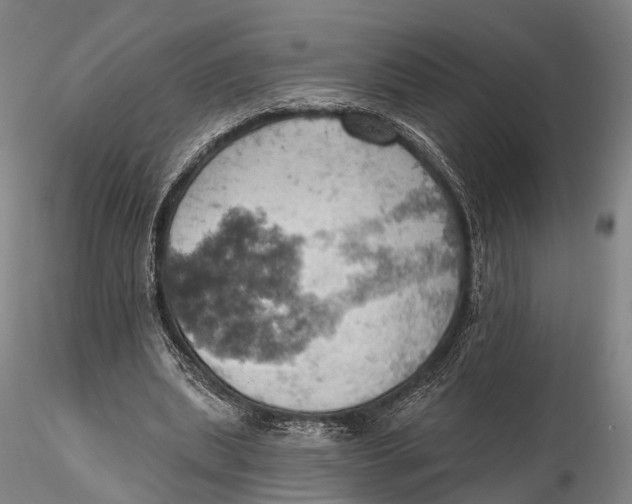 X0000115590439200912011507