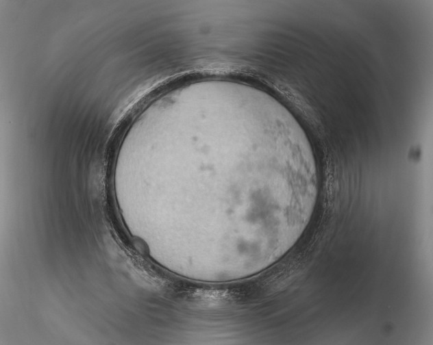 X0000115590440200912011507