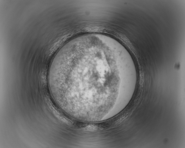 X0000115590441200912011507