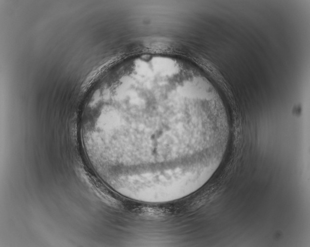 X0000115590442200912011507
