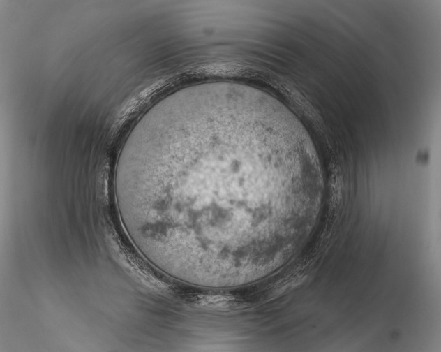 X0000115590446200912011507