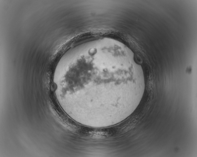 X0000115590448200912011507