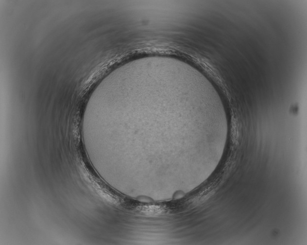X0000115590449200912011507
