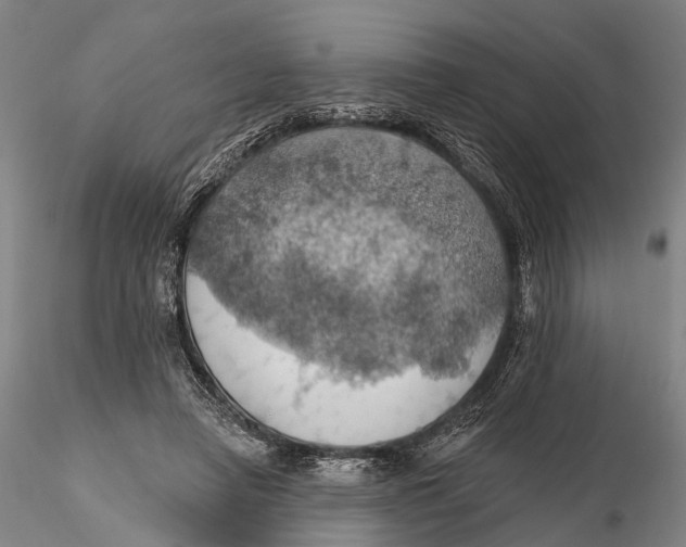 X0000115590450200912011507