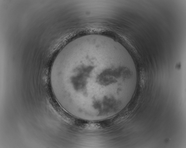 X0000115590451200912011507