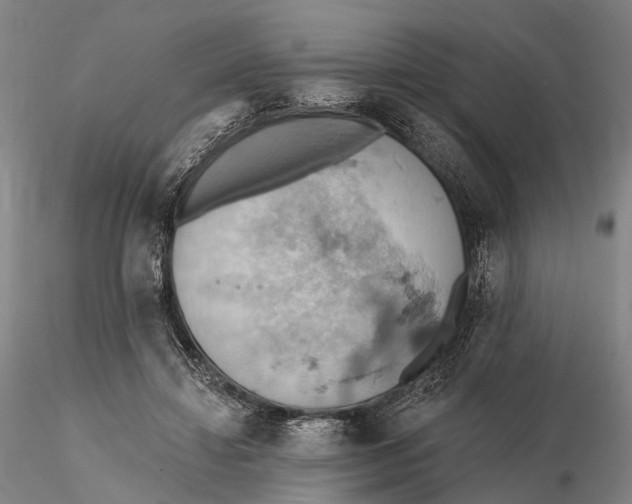 X0000115590452200912011507