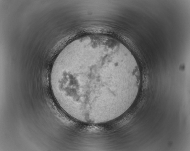 X0000115590453200912011507