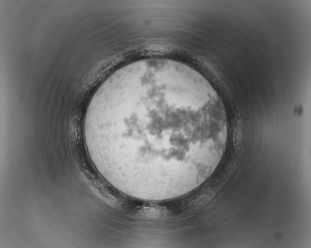 X0000115590455200912011507