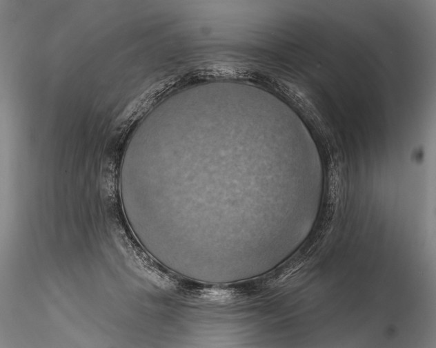 X0000115590457200912011507