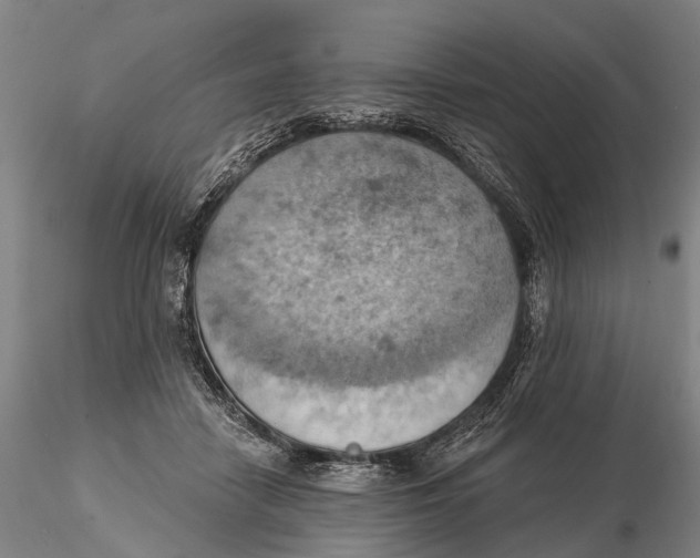 X0000115590458200912011507