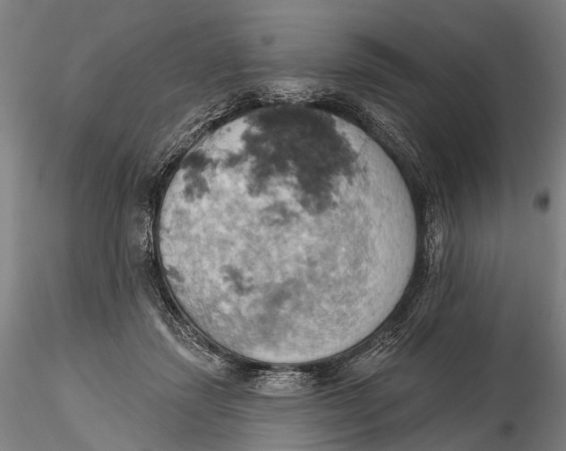 X0000115590459200912011507