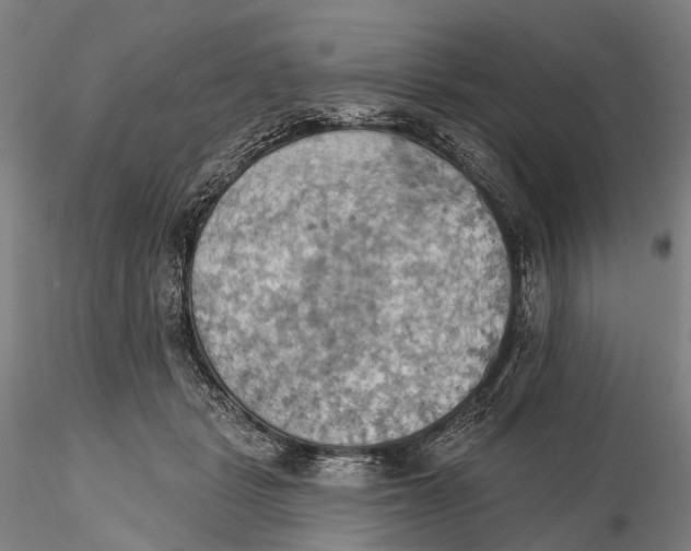 X0000115590461200912011507
