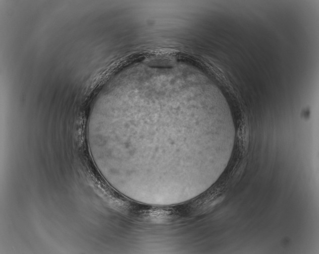 X0000115590462200912011507