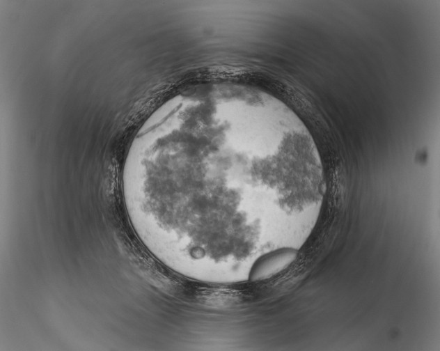 X0000115590463200912011507