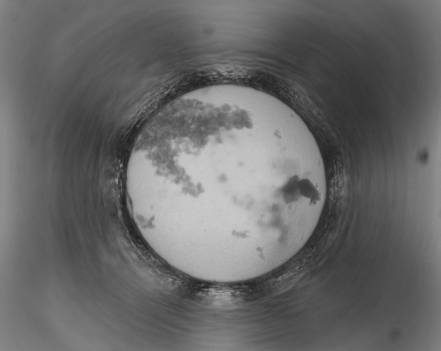 X0000115590464200912011507