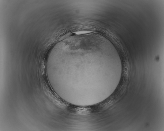 X0000115590465200912011507