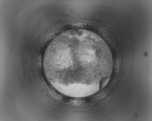 X0000115590466200912011507