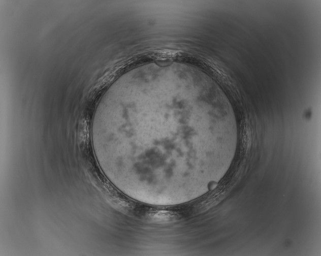 X0000115590467200912011507