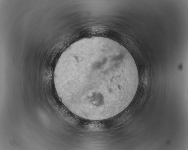 X0000115590468200912011507
