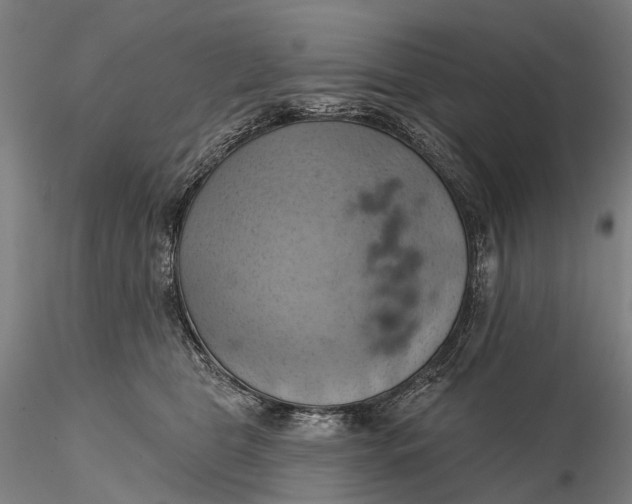 X0000115590469200912011507