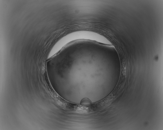 X0000115590471200912011507