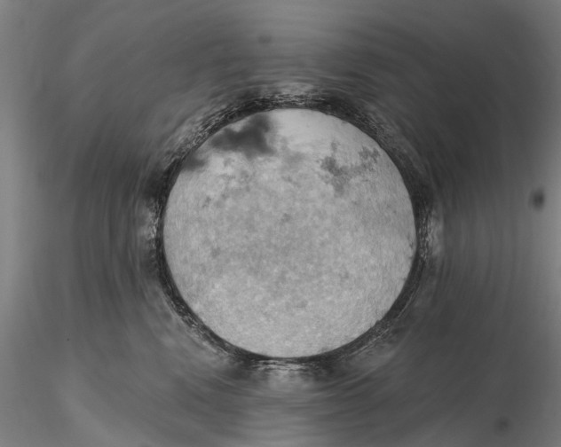 X0000115590472200912011507