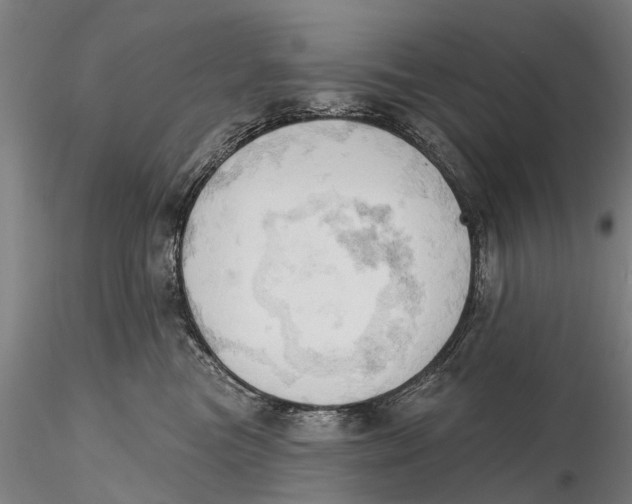 X0000115590473200912011507