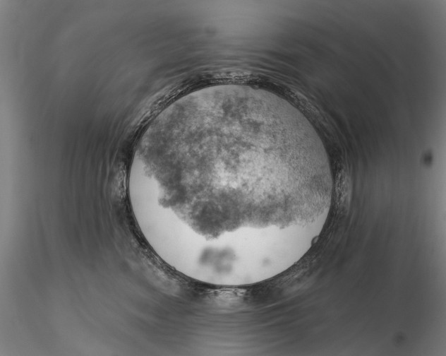 X0000115590474200912011507
