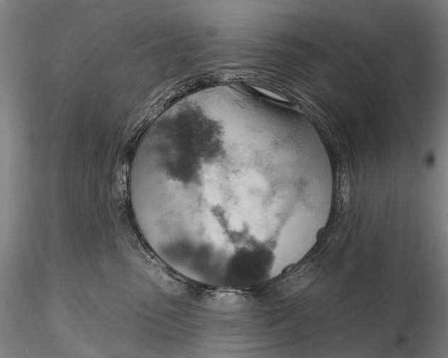 X0000115590475200912011507