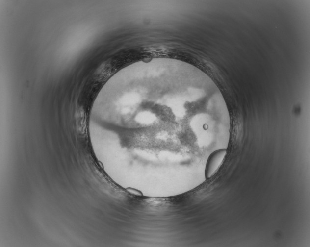 X0000115590477200912011507