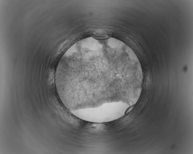 X0000115590478200912011507