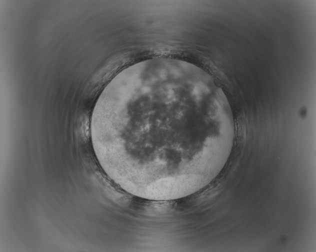 X0000115590479200912011507