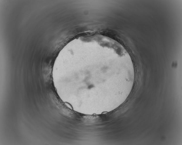 X0000115590480200912011507
