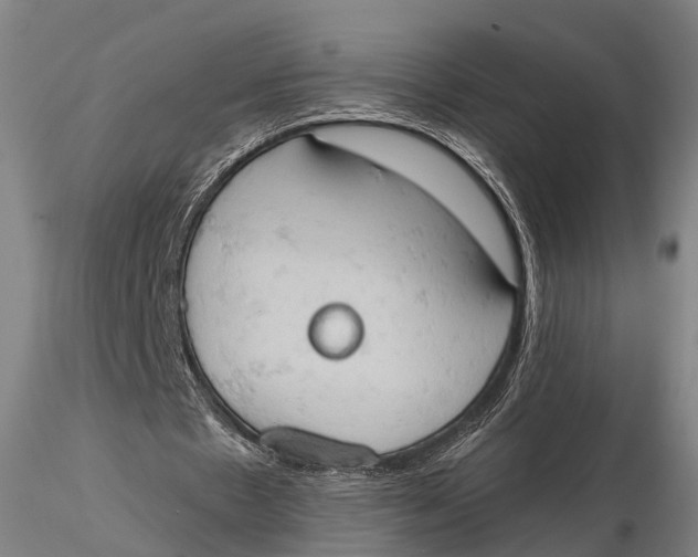 X0000115590481200912011507